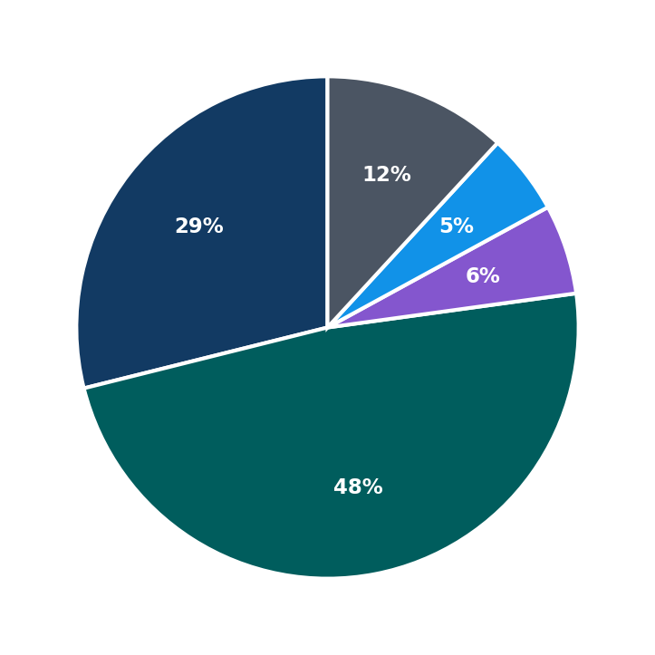 Maximum Investment Breakdown
