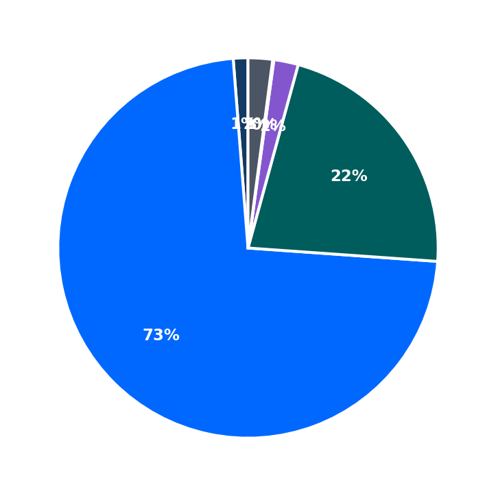 Maximum Investment Breakdown