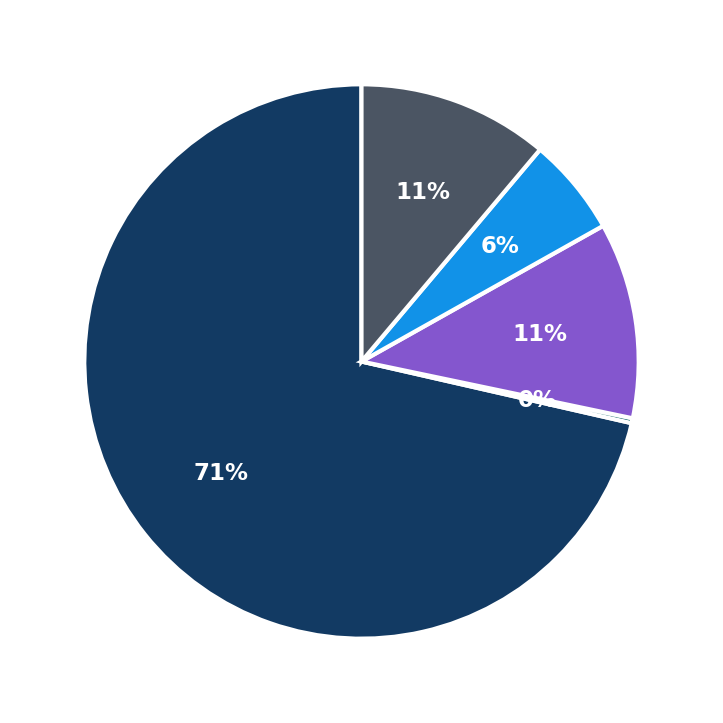 Maximum Investment Breakdown