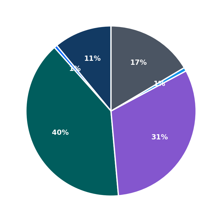Maximum Investment Breakdown