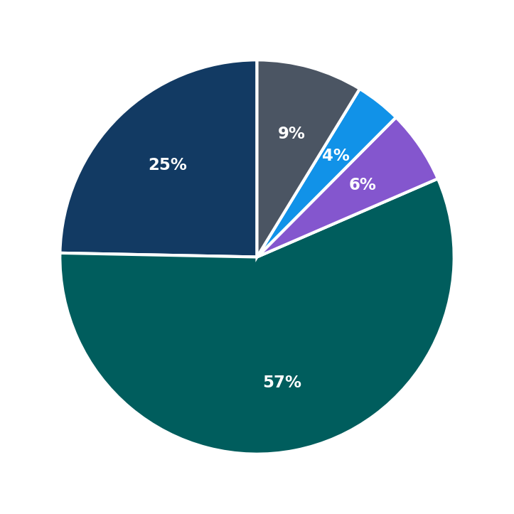 Maximum Investment Breakdown