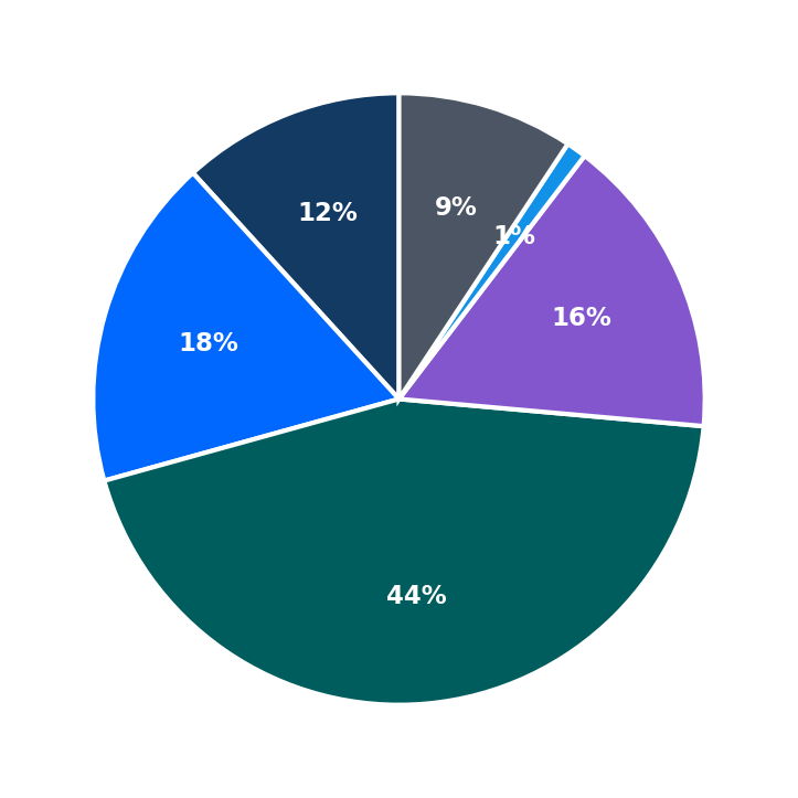 Maximum Investment Breakdown