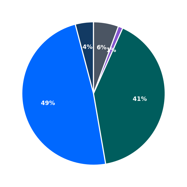 Maximum Investment Breakdown