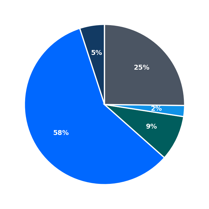 Maximum Investment Breakdown