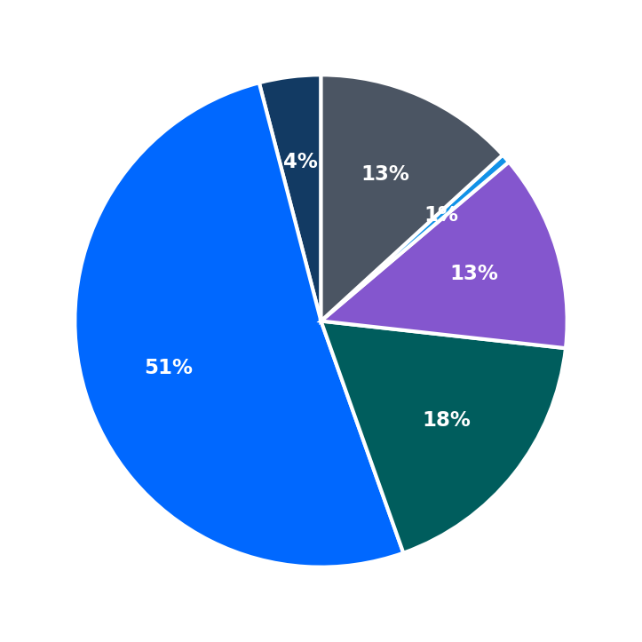 Maximum Investment Breakdown