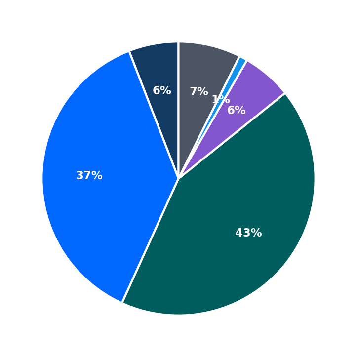 Maximum Investment Breakdown