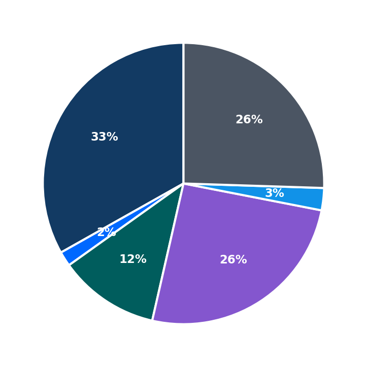 Maximum Investment Breakdown