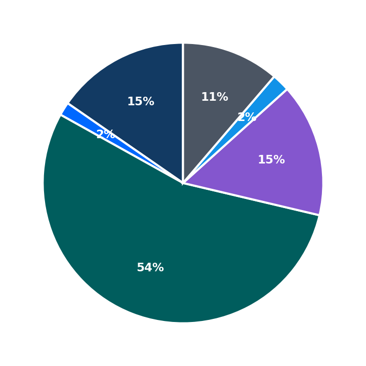 Maximum Investment Breakdown