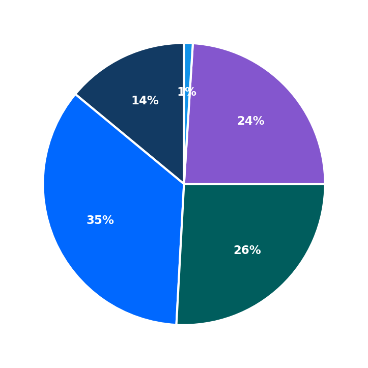 Maximum Investment Breakdown