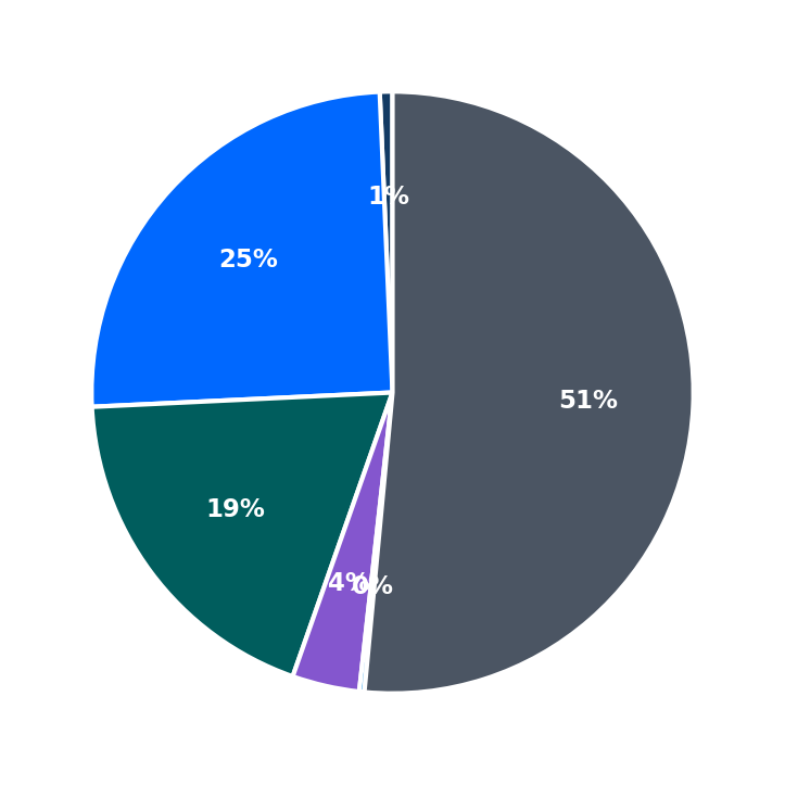 Maximum Investment Breakdown