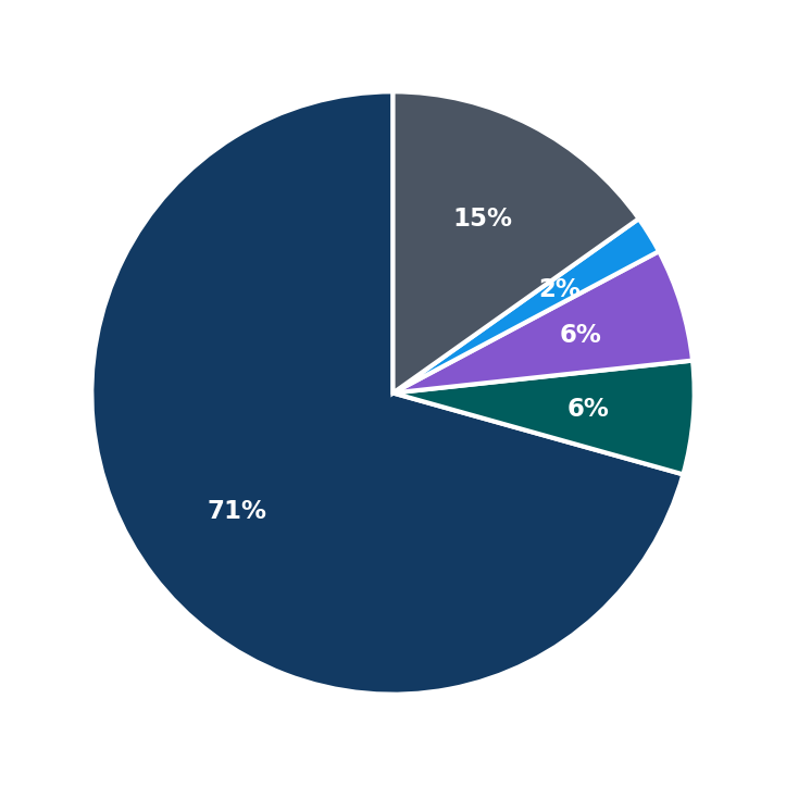 Maximum Investment Breakdown
