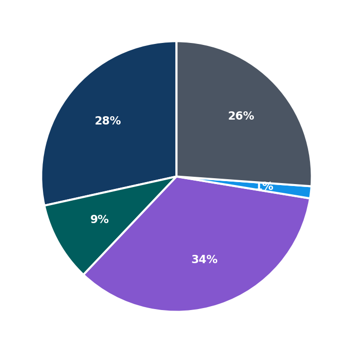 Maximum Investment Breakdown