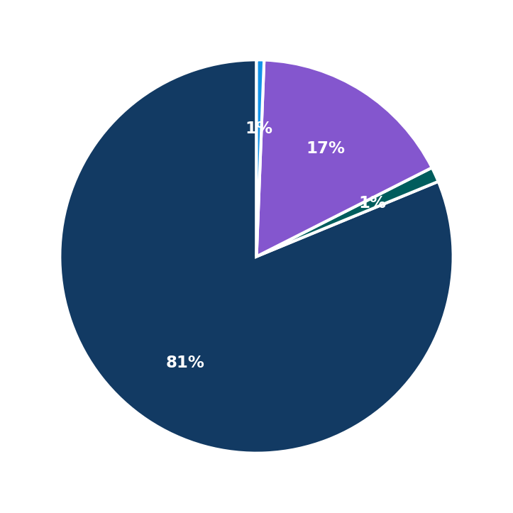 Maximum Investment Breakdown