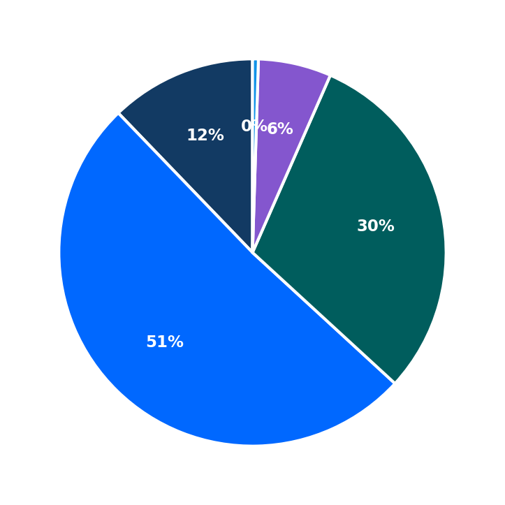 Maximum Investment Breakdown