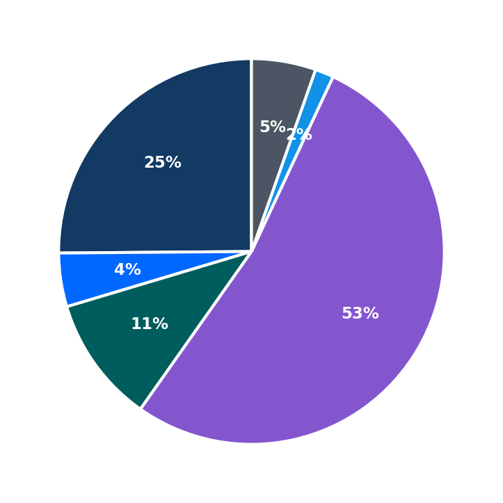 Maximum Investment Breakdown