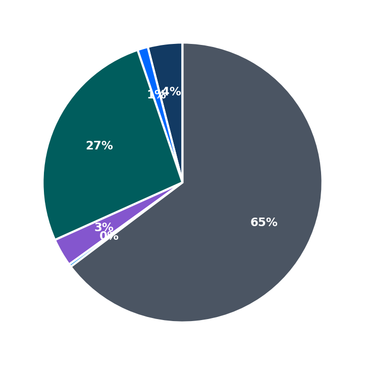 Maximum Investment Breakdown