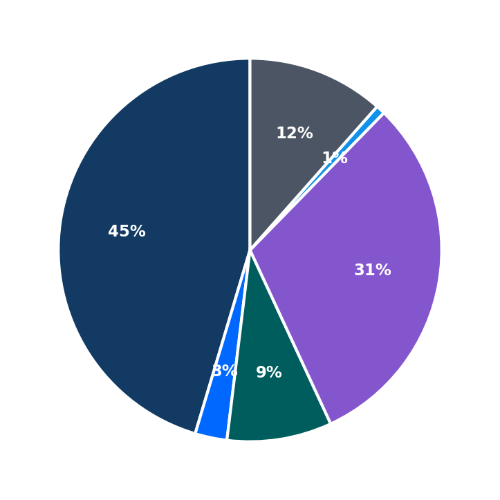 Maximum Investment Breakdown