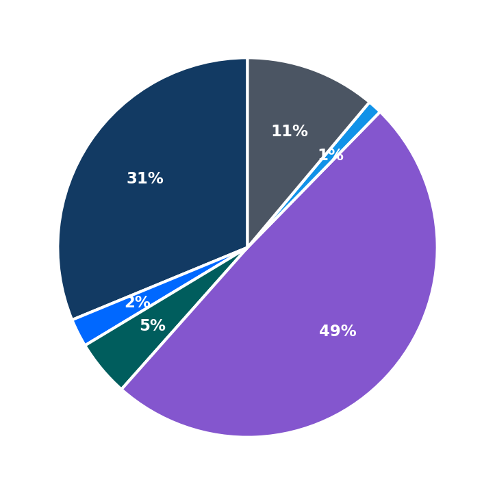 Maximum Investment Breakdown