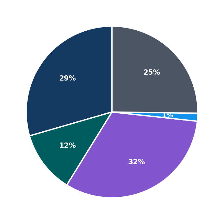 Maximum Investment Breakdown