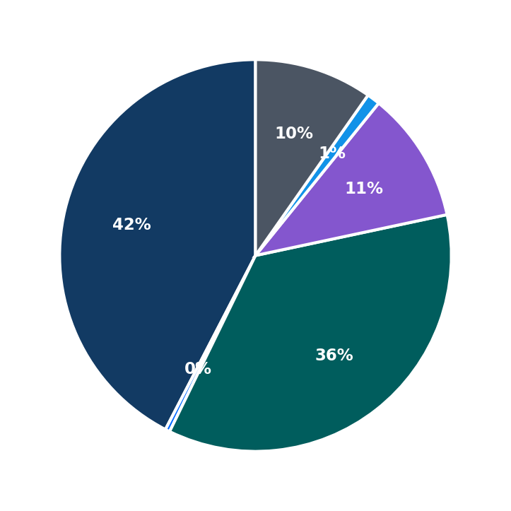 Maximum Investment Breakdown