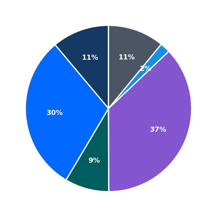 Maximum Investment Breakdown