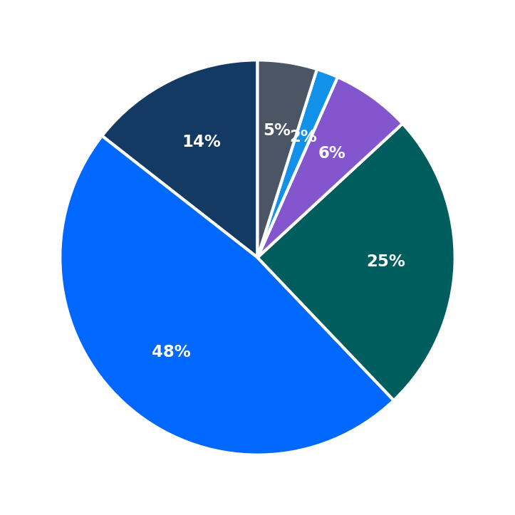 Maximum Investment Breakdown