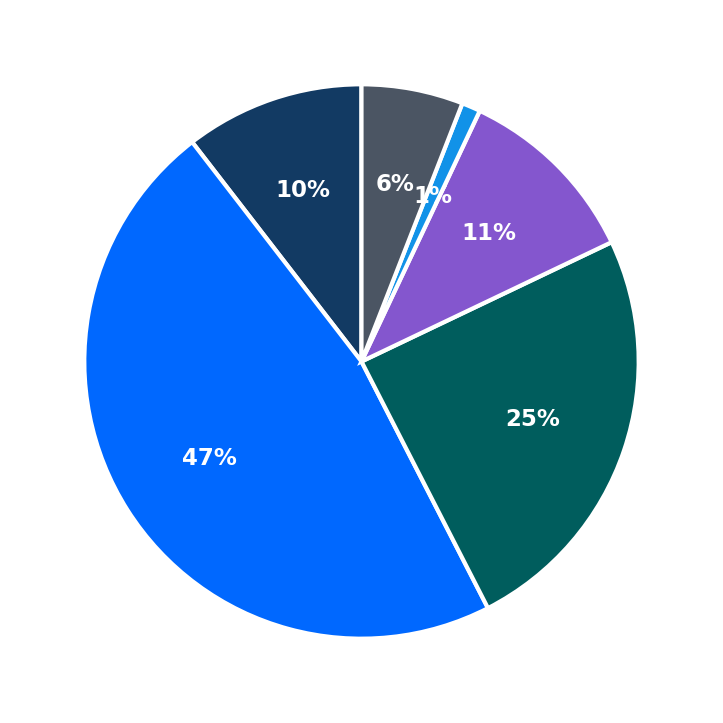 Maximum Investment Breakdown
