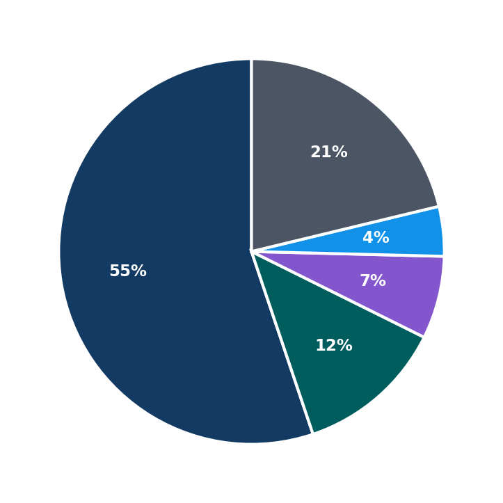 Maximum Investment Breakdown