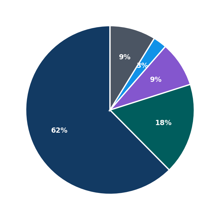 Maximum Investment Breakdown