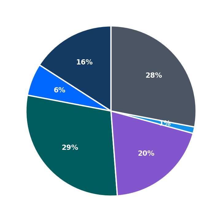 Maximum Investment Breakdown