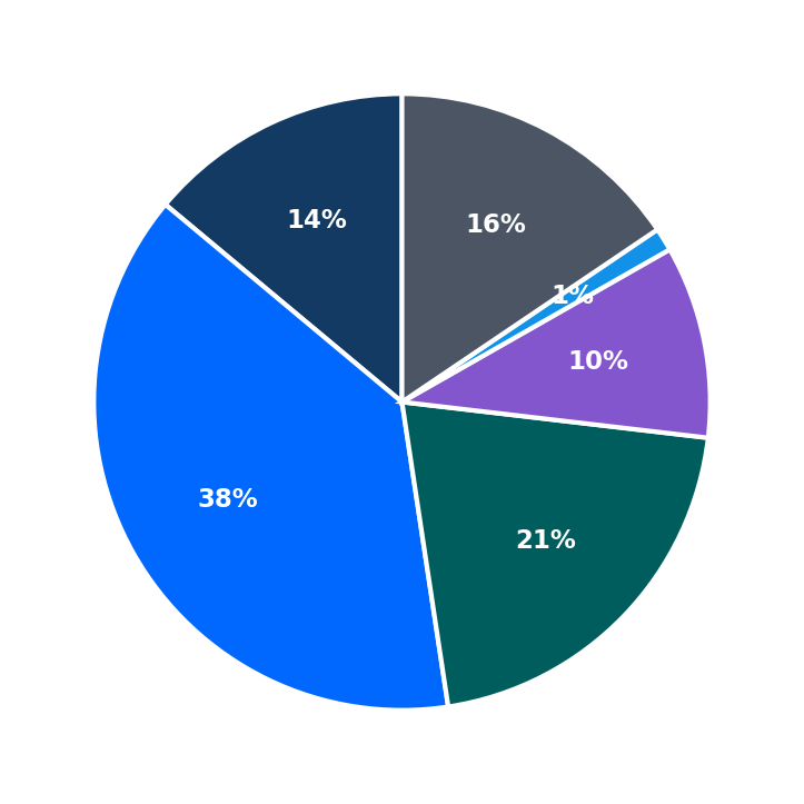 Maximum Investment Breakdown