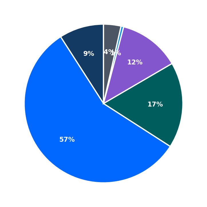 Maximum Investment Breakdown