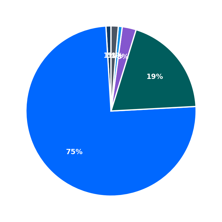 Maximum Investment Breakdown