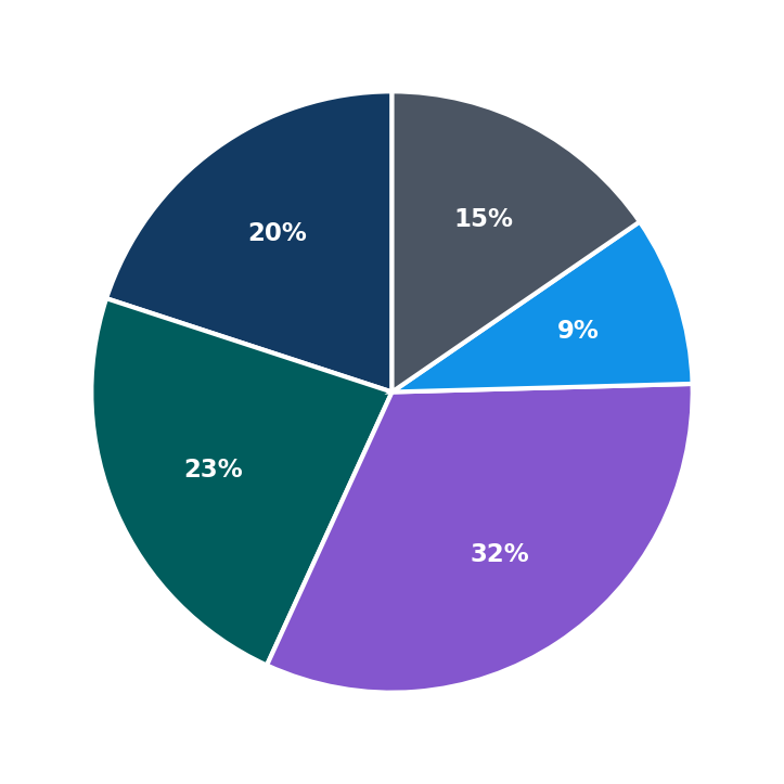 Maximum Investment Breakdown
