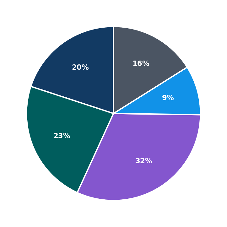Maximum Investment Breakdown