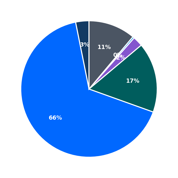 Maximum Investment Breakdown