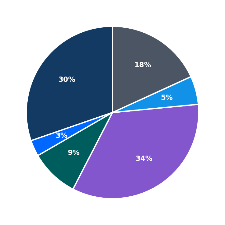 Jomsom Staffing Services maximum investment breakdown