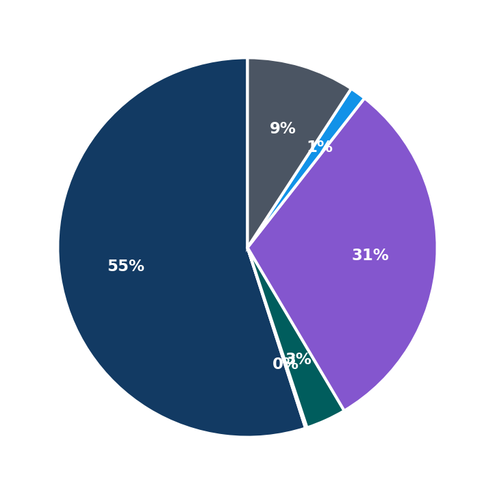 Jomsom Staffing Services minimum investment breakdown