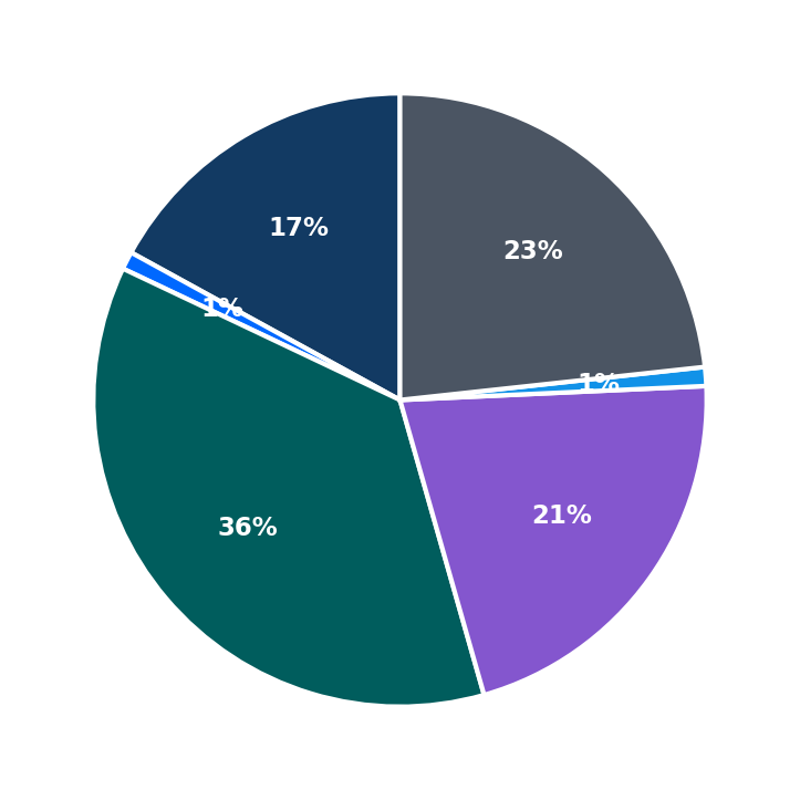 Maximum Investment Breakdown