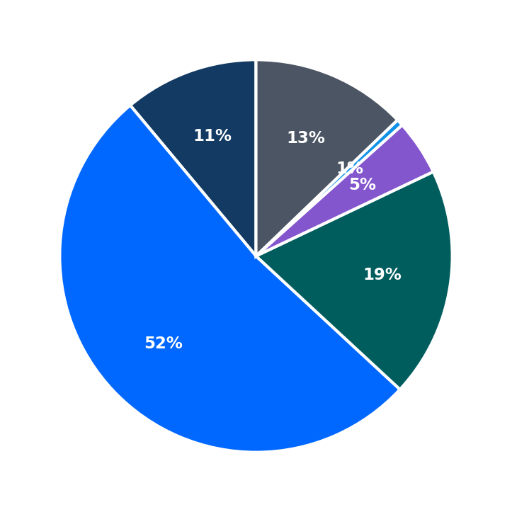 Maximum Investment Breakdown