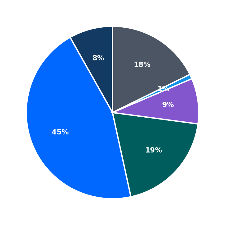 Maximum Investment Breakdown