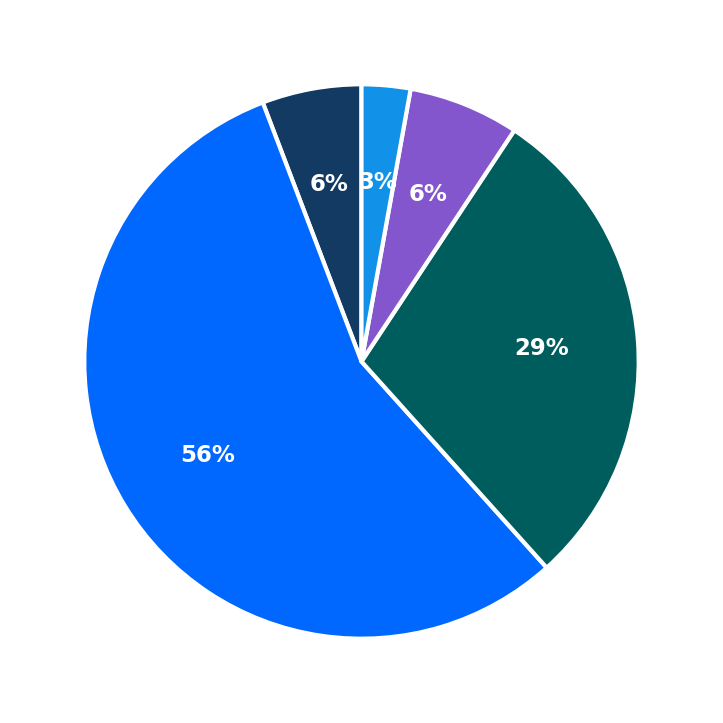 Maximum Investment Breakdown