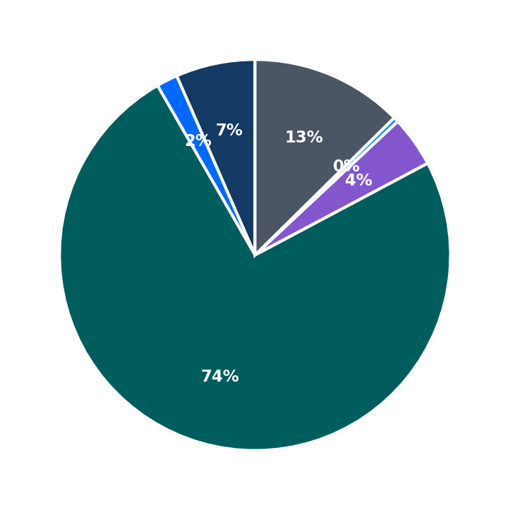 Maximum Investment Breakdown