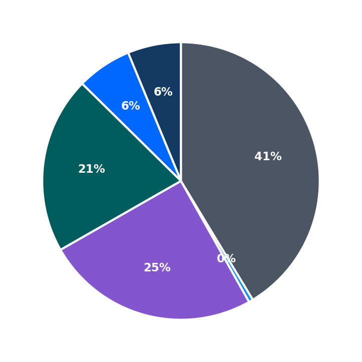 Maximum Investment Breakdown