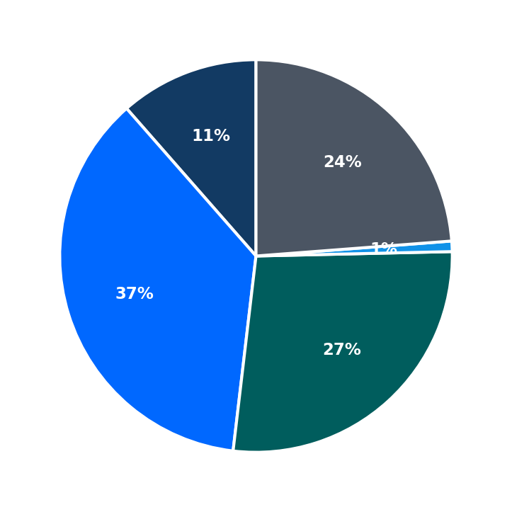 Maximum Investment Breakdown