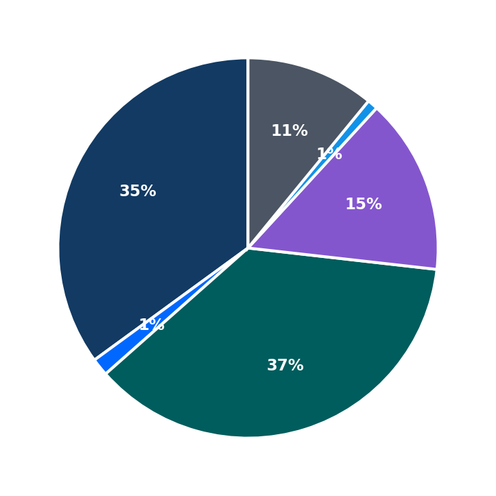 Maximum Investment Breakdown