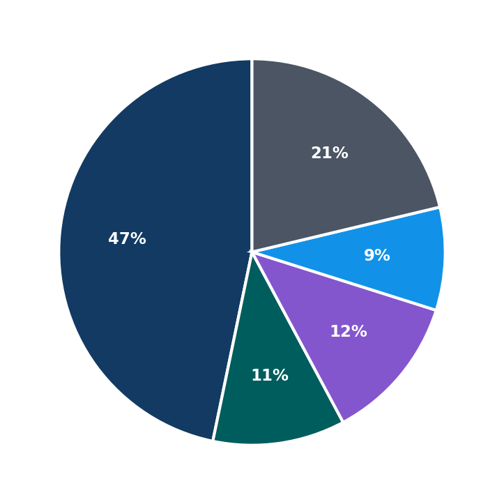 Maximum Investment Breakdown