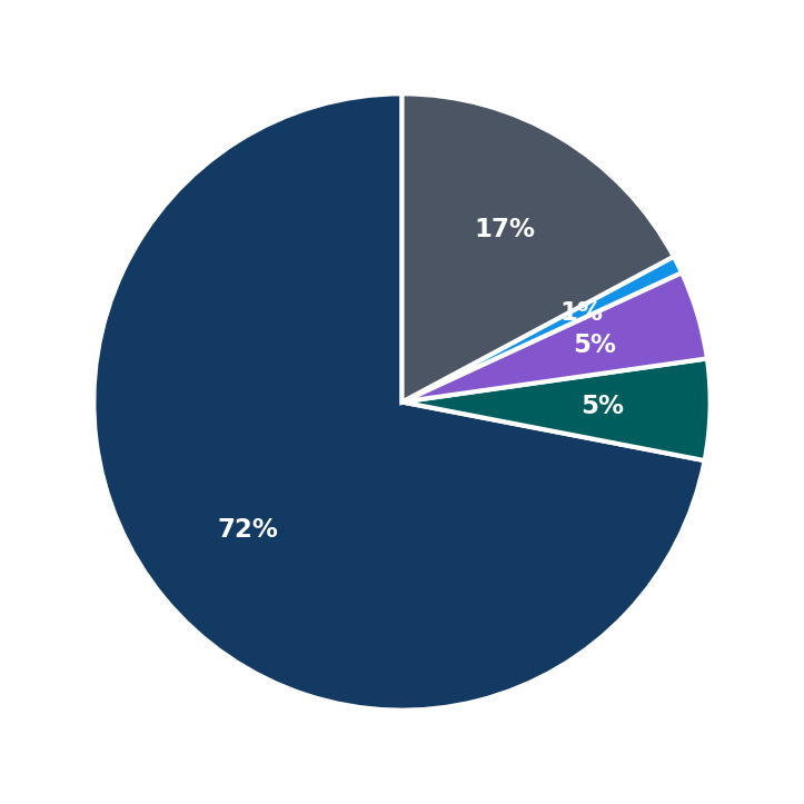 Maximum Investment Breakdown
