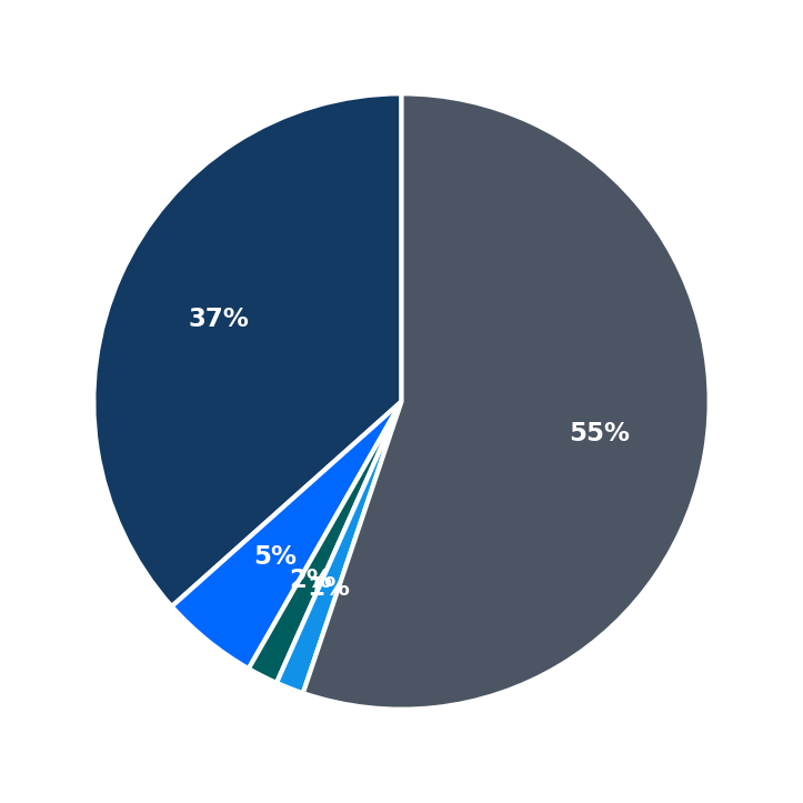 Maximum Investment Breakdown