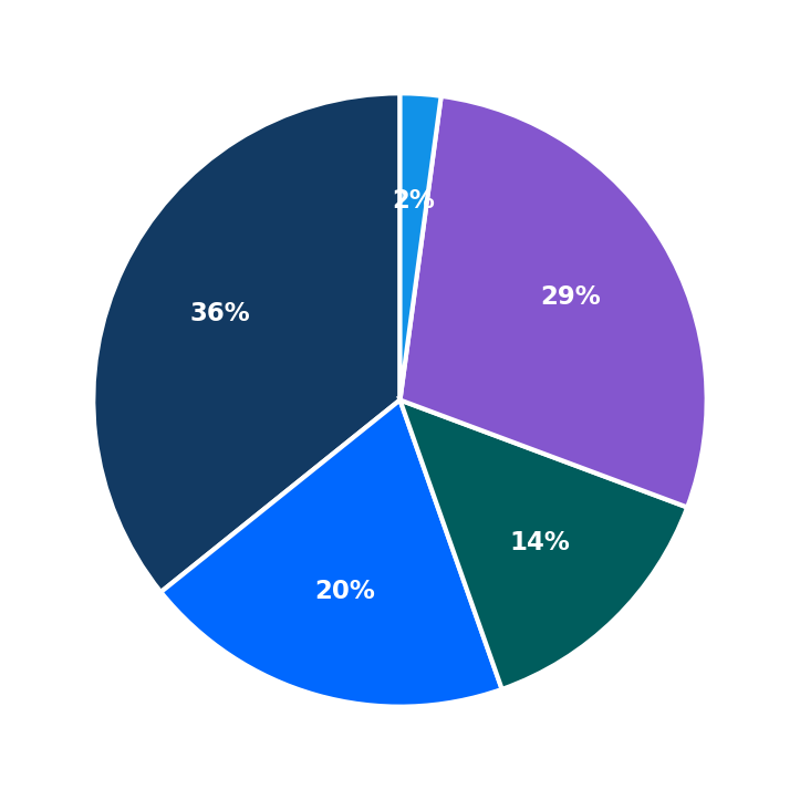 Maximum Investment Breakdown